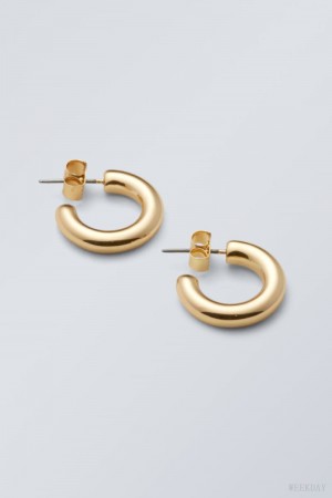 Weekday Bold Hoops Golden | NOMF8424