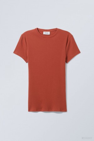 Weekday Close Fitted Rib T-Shirt Dark Orange | QBXV6959