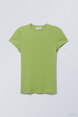 Weekday Close Fitted Rib T-Shirt Green | OHMZ1530