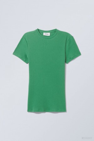 Weekday Close Fitted Rib T-Shirt Turquoise Green | IHIB7539