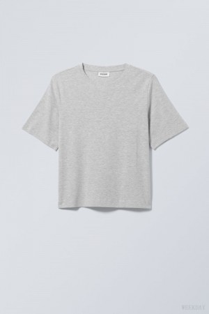 Weekday Perfect Boxy T-shirt Light Grey | DVCF4897