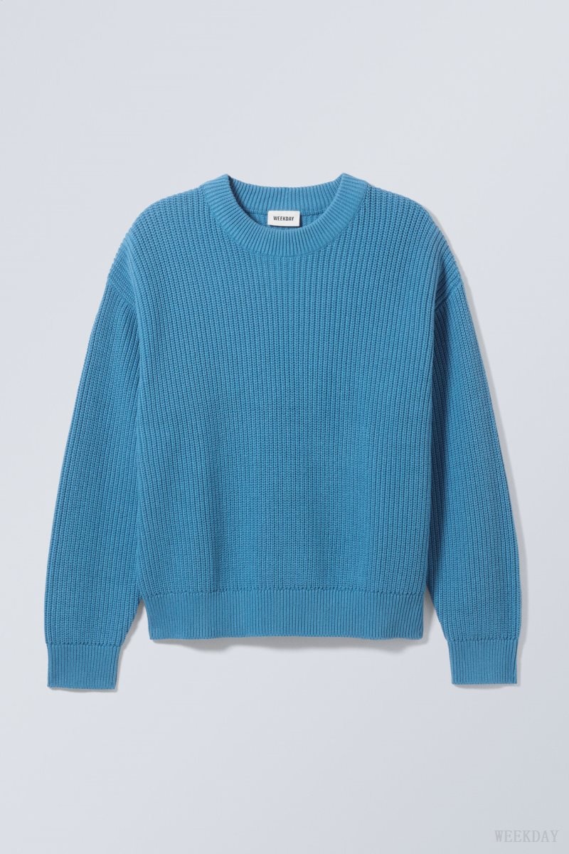 Weekday Daniel Regular Sweatshirt Light Blue | IPHS5992