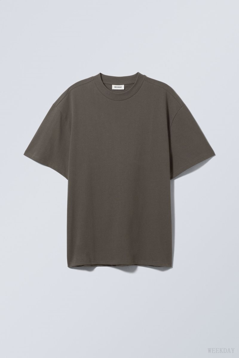 Weekday Great Heavyweight T-shirt Grey | DWWT5060