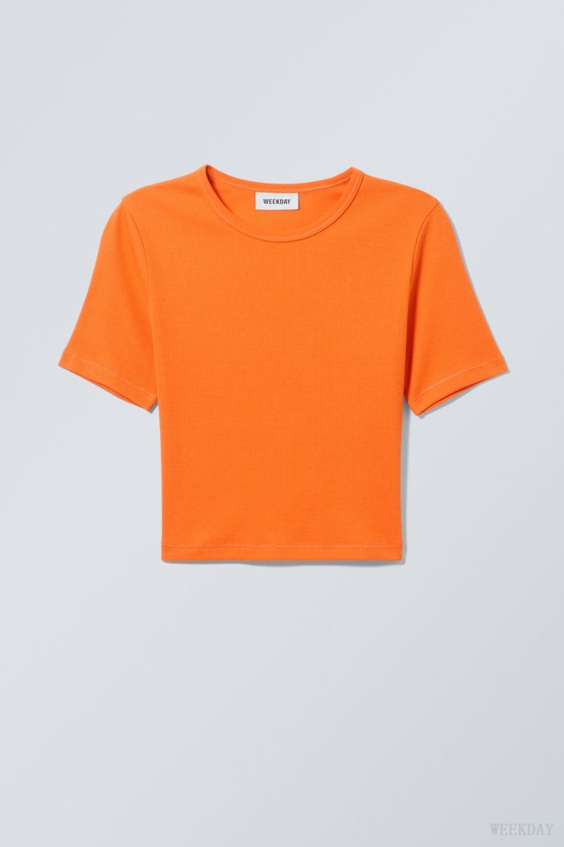 Weekday Mini Rib Crop Top Orange | SYEC4980