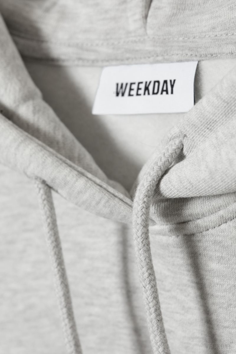 Weekday Relaxed Heavy Hoodie Grey | RBEY4464