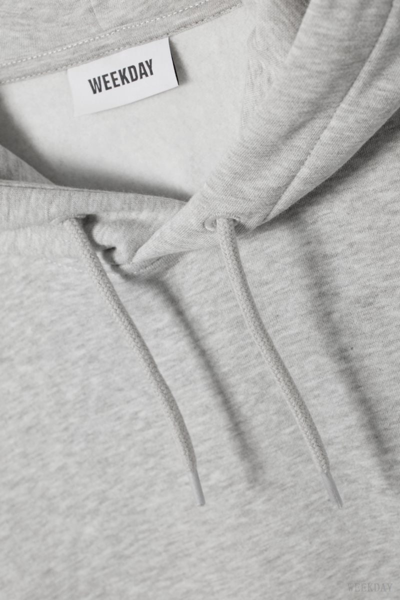 Weekday Standard Midweight Hoodie Grey | EKDT0270